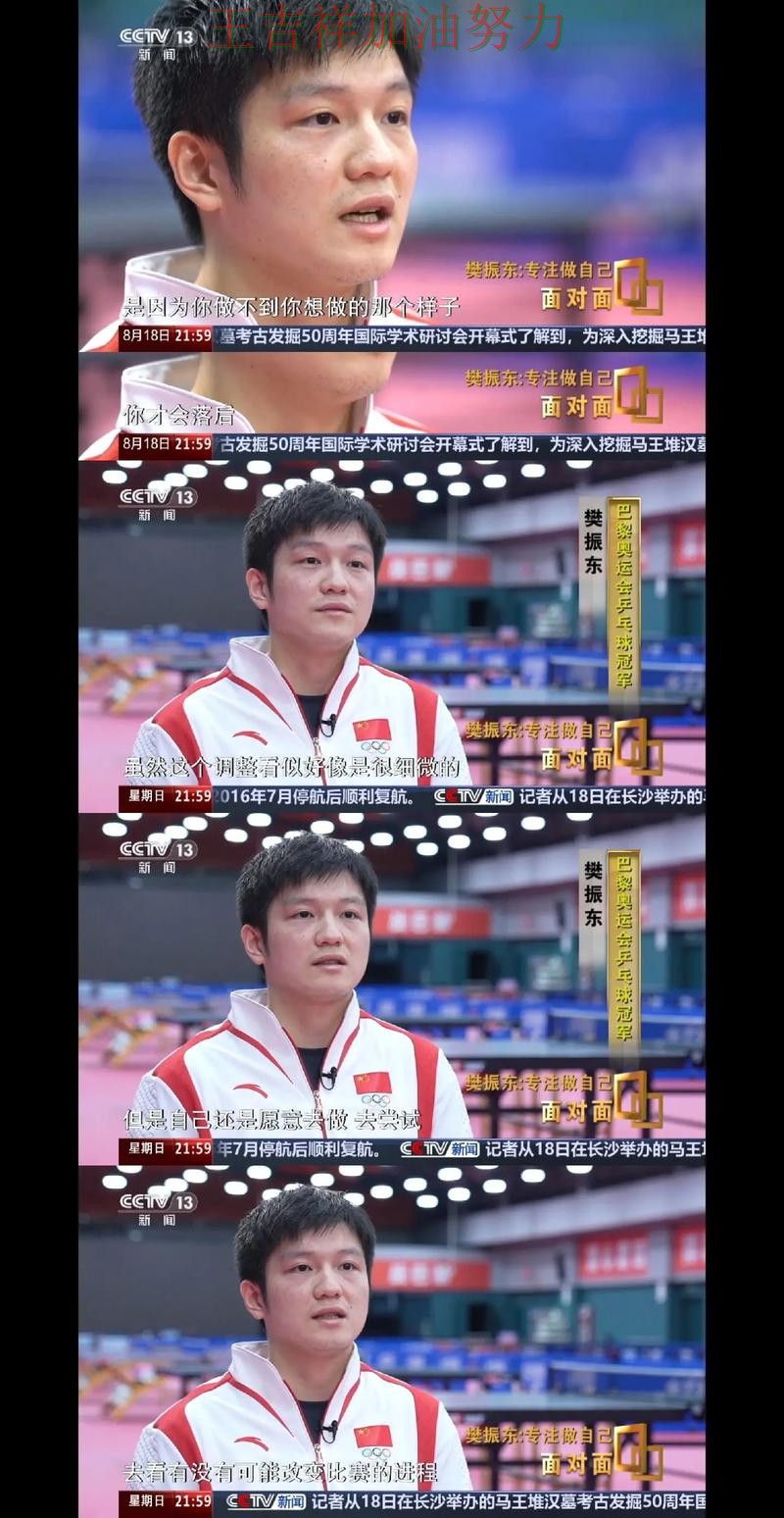 樊振东最新动态引发关注 赛后分析指出关键问题